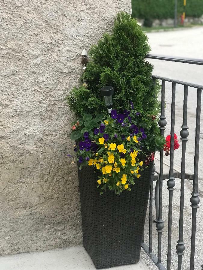 RevòCasa Paolina - Cipat 57814アパートメント エクステリア 写真